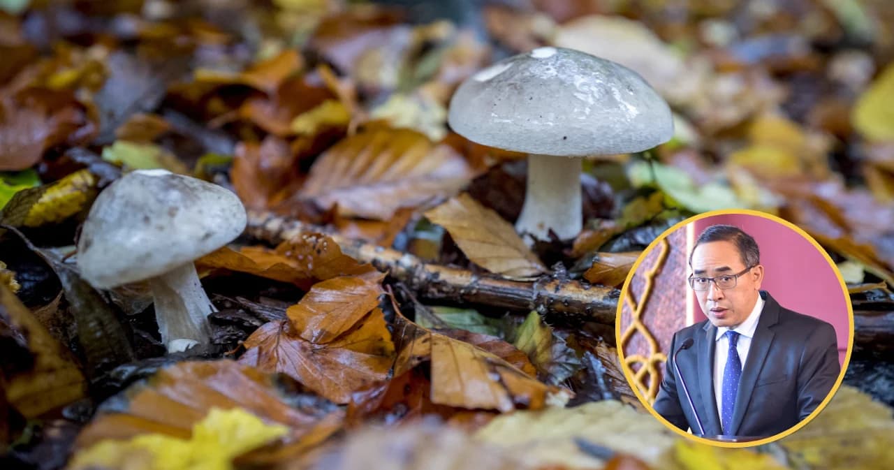 กต. แจงคนไทยเก็บเห็ดล้ำเข้าลาว อยู่ระหว่างถูกลาวกักตัว 14 วัน ลาวยังไม่พิจารณาฉีดวัคซีนโควิดให้