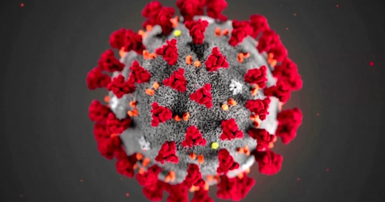 สื่อจีนสัมภาษณ์นักวิทยาศาสตร์ ย้ำยังไม่ต้องวิตกโควิด ‘โอไมครอน’ พร้อมพัฒนาวัคซีนเชื้อตายใน 2 สัปดาห์