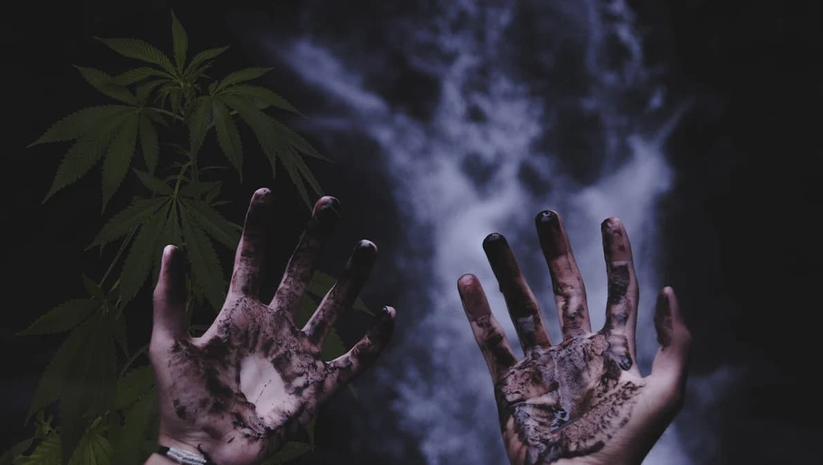 แพทย์เผยเคสหนุ่มหลอนกัญชาตัดอวัยวะเพศตัวเองมีรายงานทางการแพทย์