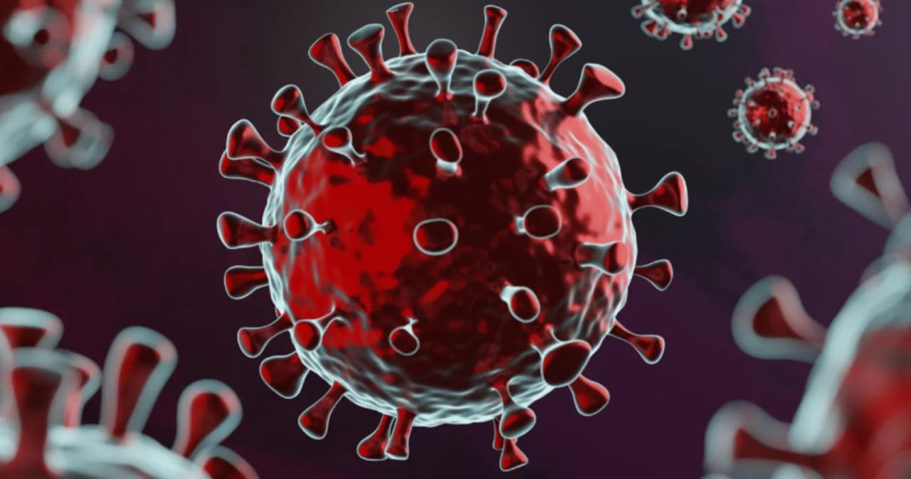 ศูนย์จีโนมฯ เตือนจับตา โควิด-19 สายพันธุ์ JN.1 พบกลายพันธุ์แบบ SLip