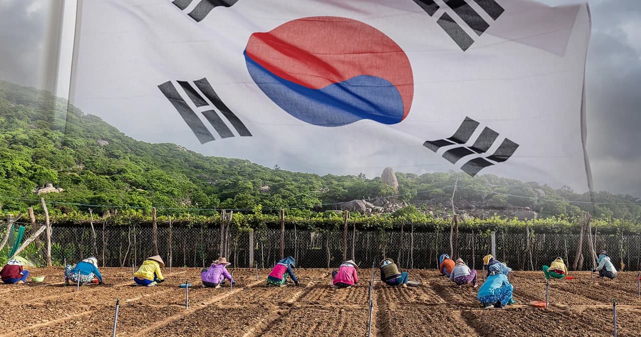 ‘ทำไมต้องไปเป็นแรงงานข้ามชาติ?’ หาคำตอบกับ แรงงานไทย (ไร้สถานะ) เกาหลีใต้