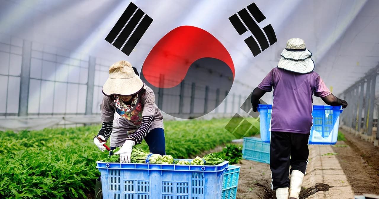 "ไม่ใช่เกาหลีก็ไปที่อื่น" เมื่อ ‘แรงงานไทย’ เติบโตไม่ได้ในประเทศ? คุยกับ นักวิจัยมูลนิธิศักยภาพชุมชน