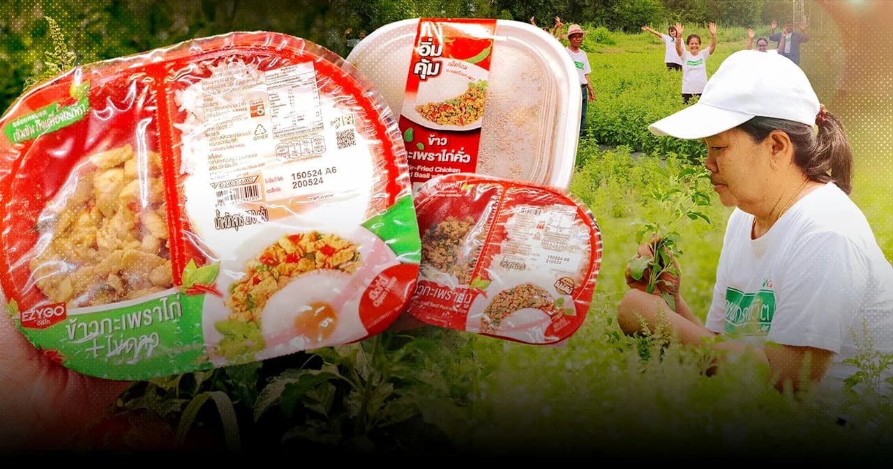 เบื้องหลังความอร่อย ‘กะเพราถาดสีแดง’ ใน 7-Eleven จากงานวิจัย ‘กะเพราป่า’ สู่มื้ออร่อยที่ช่วยเกษตรกรไทย